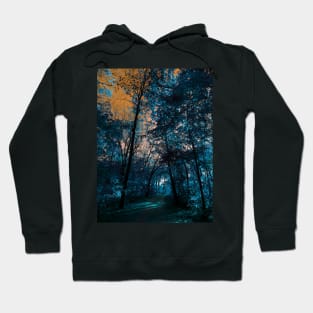 Majestic Fantasy Fall Wooded Trail Scene with Blue Foliage and Orange Sky - Indian Creek Trail Kansas City Hoodie